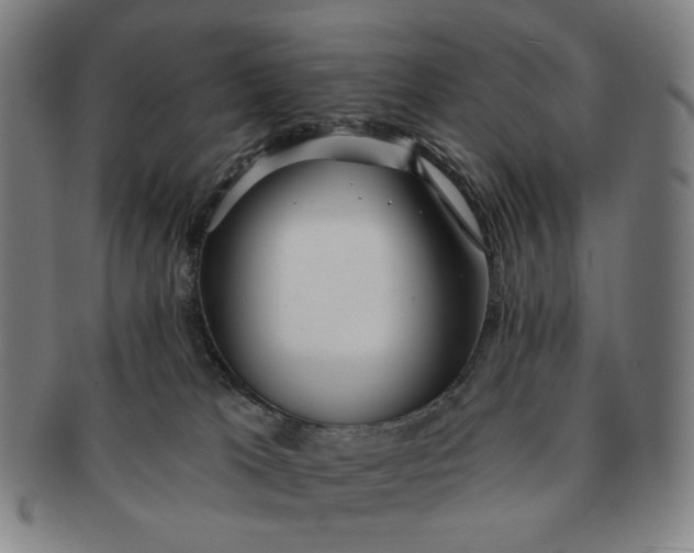 X0000091230037200708301526