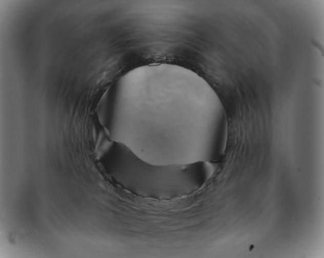 X0000091230039200708301526