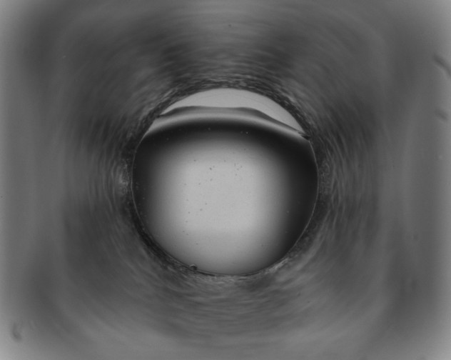 X0000091230040200708301526