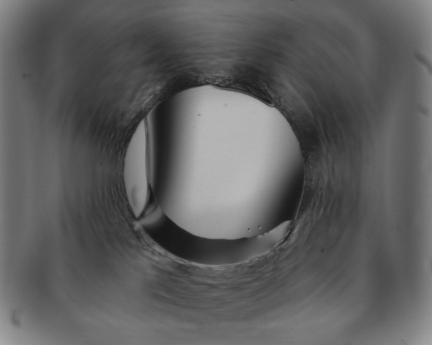 X0000091230041200708301526