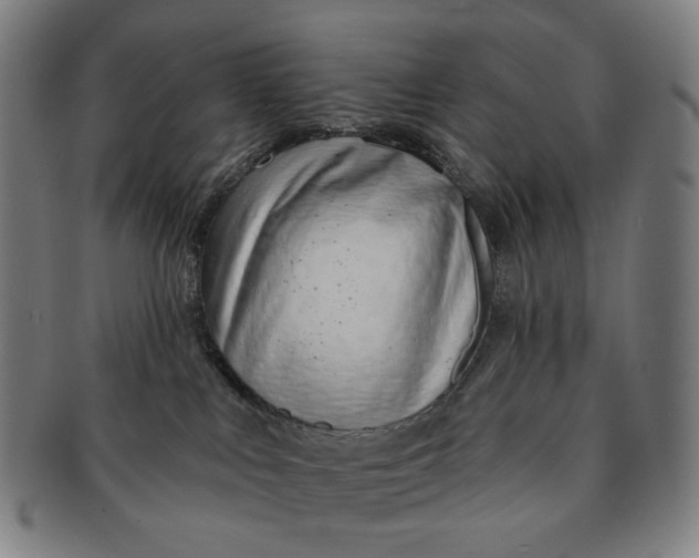 X0000091230043200708301526