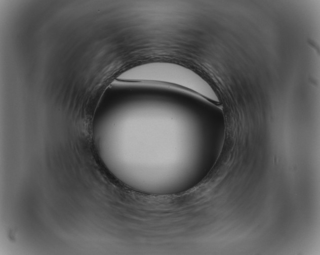 X0000091230044200708301526