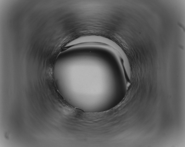 X0000091230045200708301526