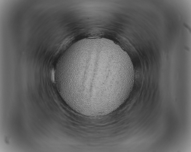 X0000091230046200708301526