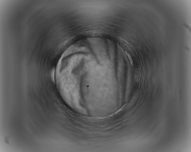 X0000091230047200708301526