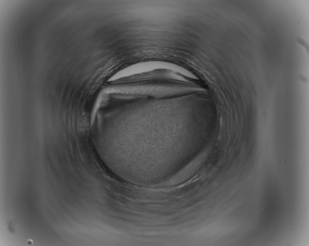 X0000091230048200708301526