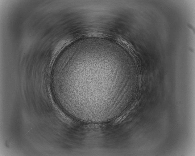 X0000091230049200708301525