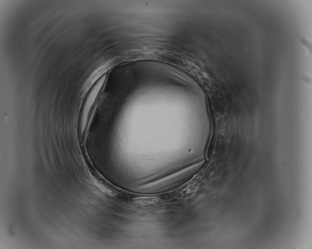 X0000091230051200708301525
