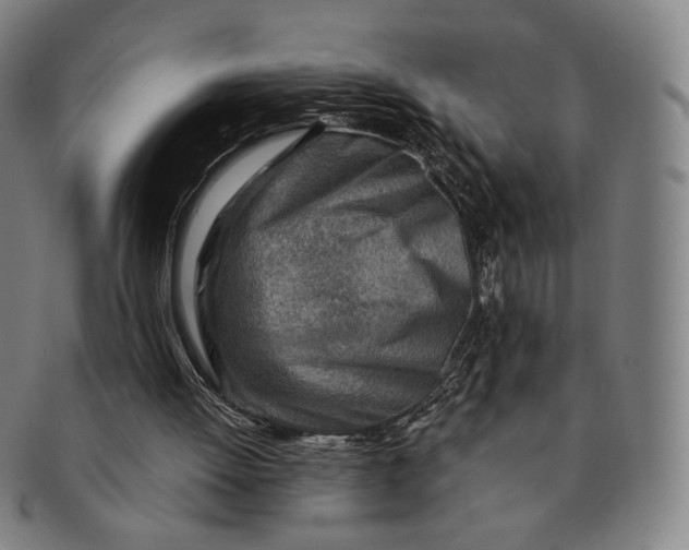 X0000091230052200708301525