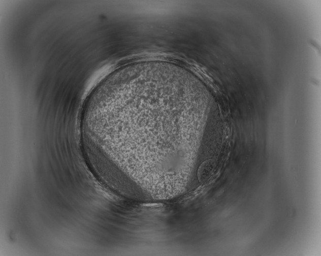 X0000091230053200708301525
