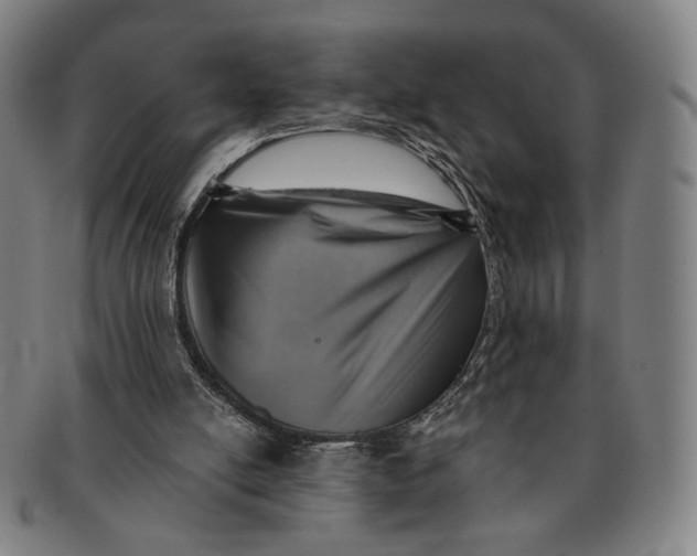 X0000091230054200708301525