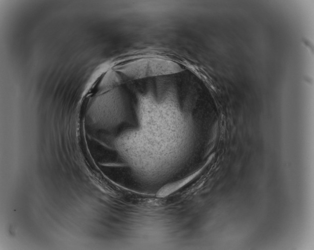 X0000091230056200708301525
