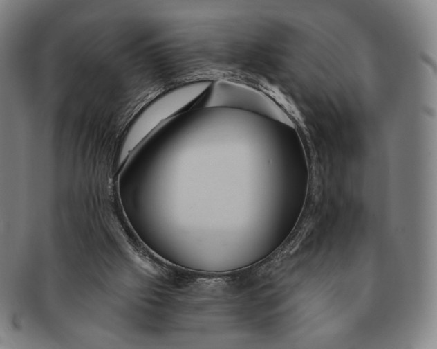 X0000091230057200708301525