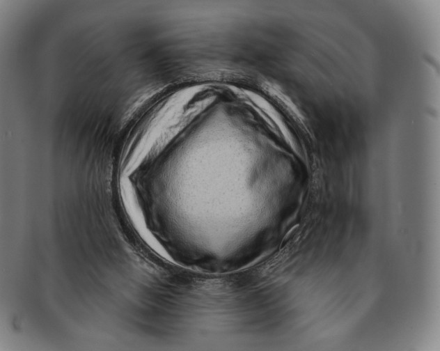 X0000091230058200708301525
