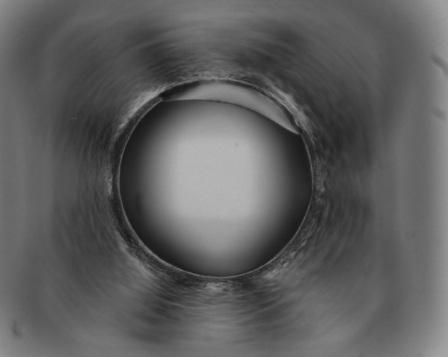 X0000091230060200708301525