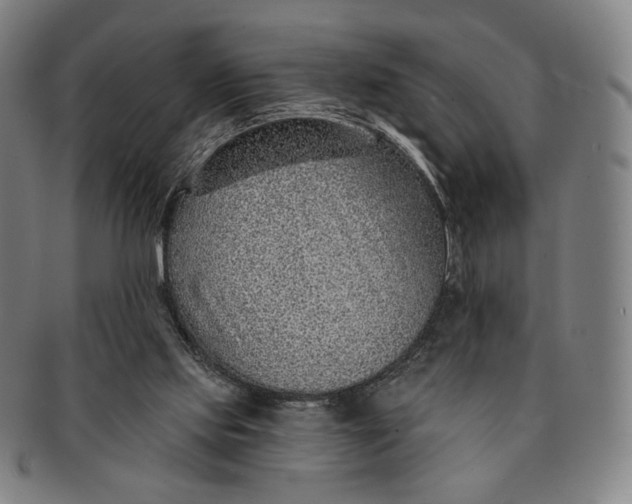 X0000091230061200708301525