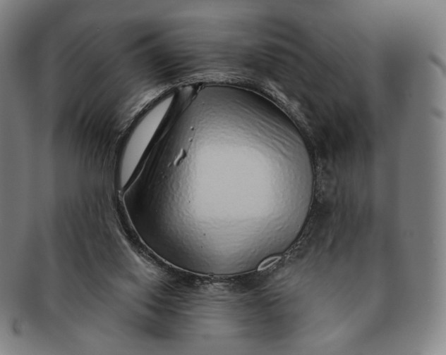 X0000091230062200708301525