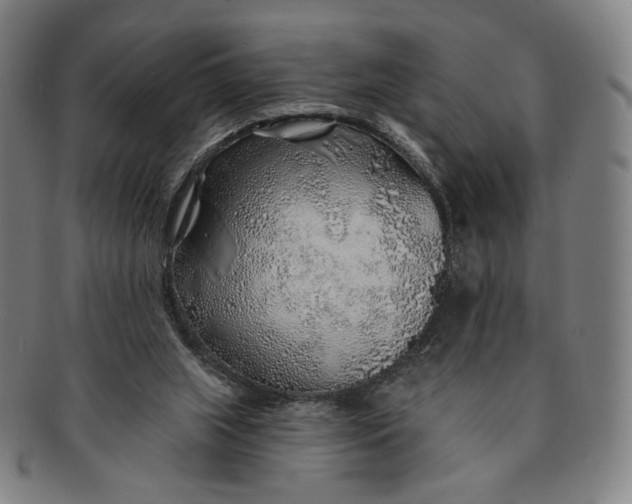 X0000091230063200708301525