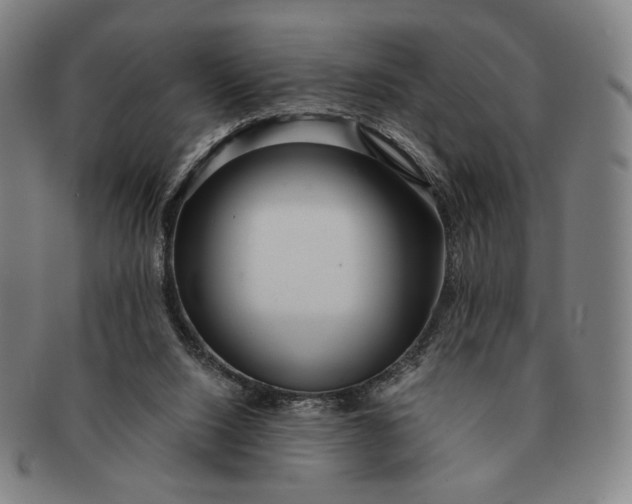 X0000091230064200708301525