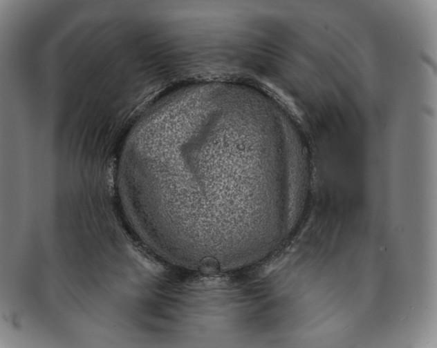 X0000091230065200708301525