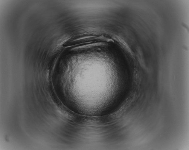 X0000091230066200708301525