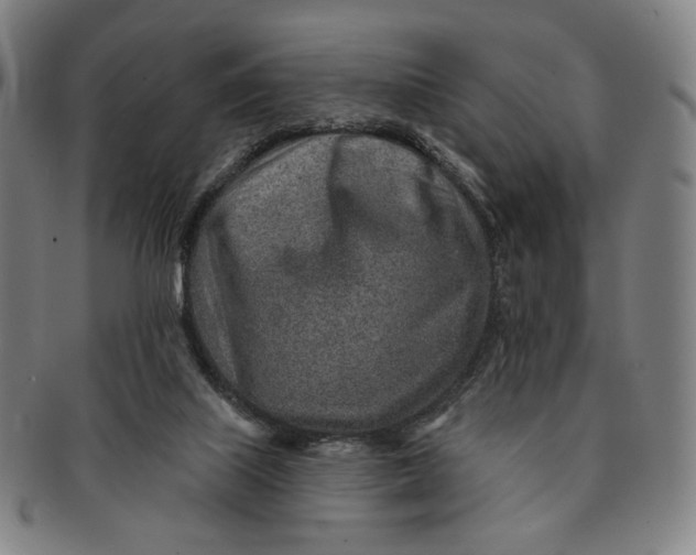X0000091230067200708301525