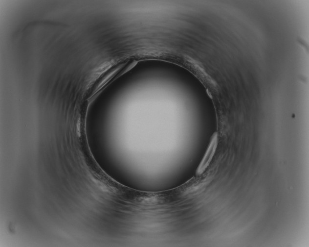 X0000091230068200708301525