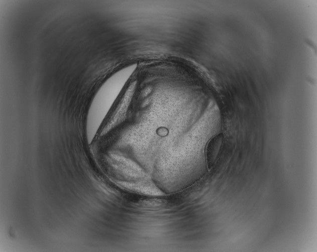 X0000091230069200708301525