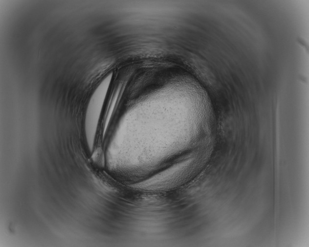X0000091230070200708301525