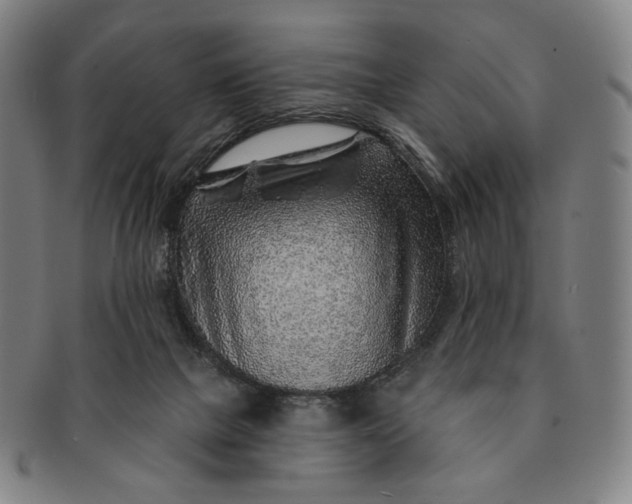 X0000091230073200708301525