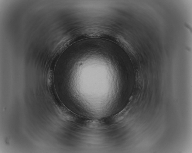 X0000091230074200708301525