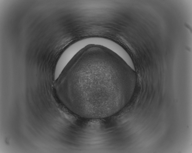 X0000091230076200708301525