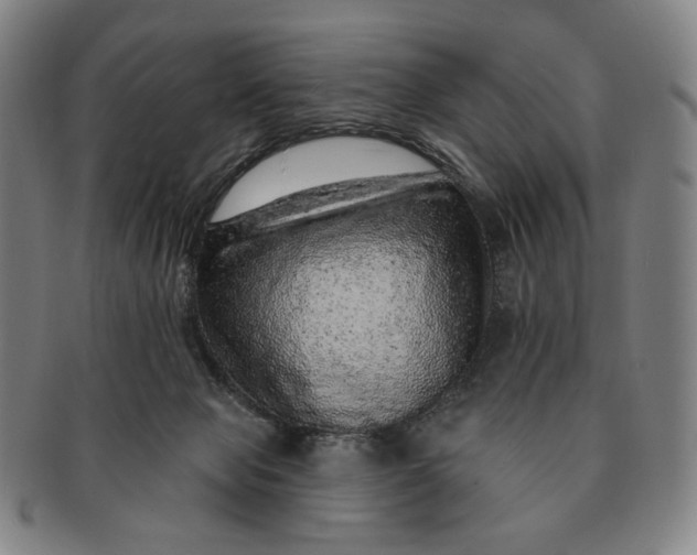 X0000091230077200708301525