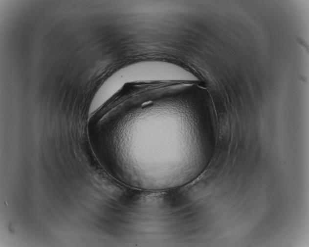 X0000091230078200708301525