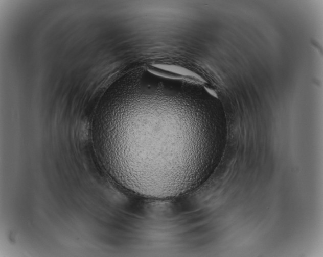 X0000091230081200708301525