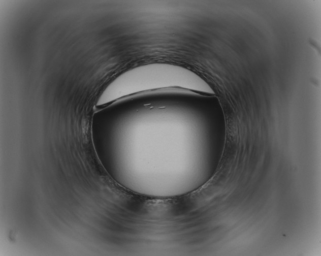 X0000091230082200708301525