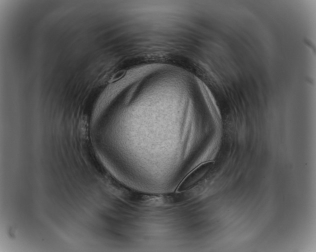 X0000091230083200708301525