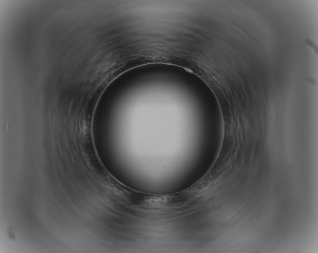 X0000091230084200708301525