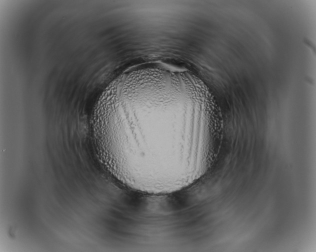 X0000091230085200708301525
