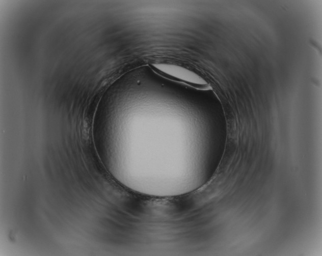 X0000091230086200708301525