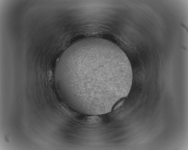 X0000091230087200708301525