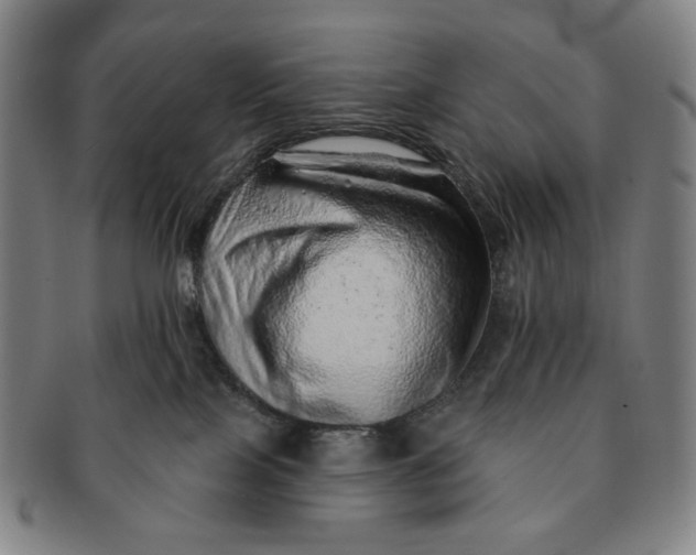 X0000091230089200708301525