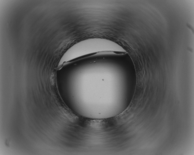X0000091230090200708301525