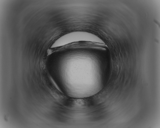 X0000091230091200708301525