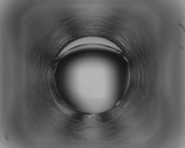 X0000091230092200708301526