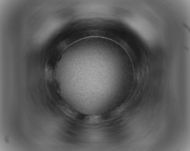 X0000091230093200708301526