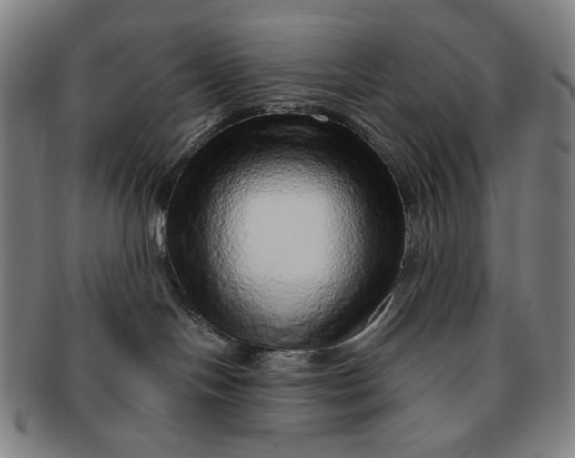 X0000091230094200708301526