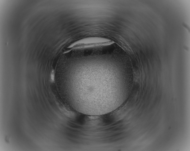 X0000091230095200708301526