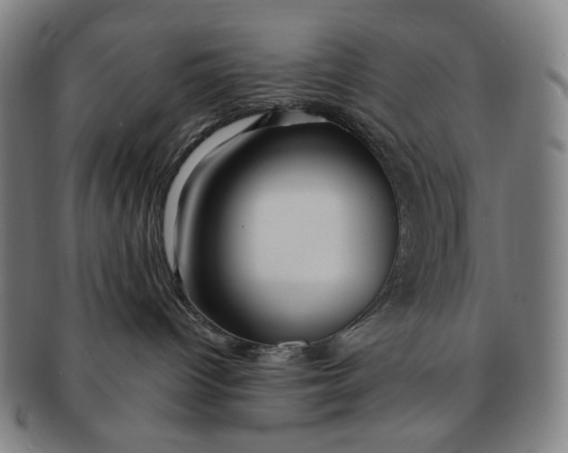 X0000091230096200708301526