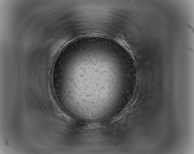 X0000091230097200708301525